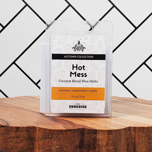 Hot Mess - Wax Melts